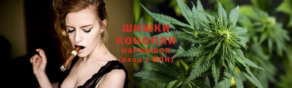 ешки Богданович
