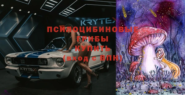 винт Бородино