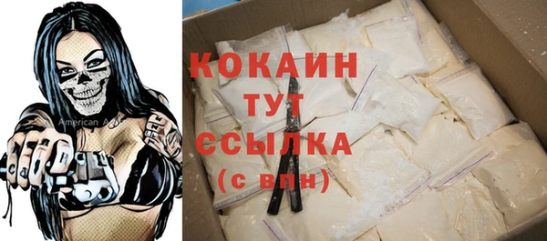 винт Бородино
