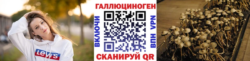 наркотики  Данков  Галлюциногенные грибы Psilocybe 